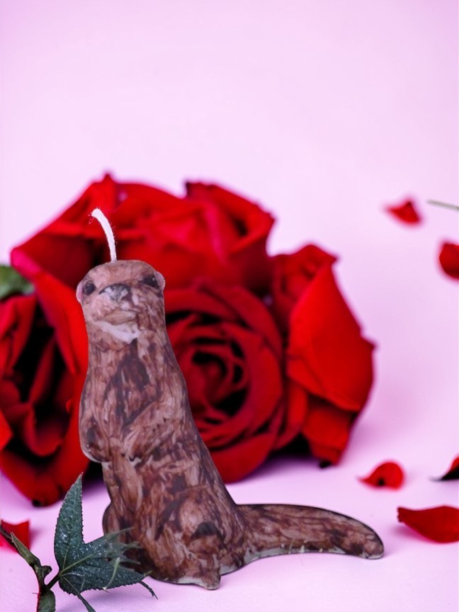 (image for) Otter Kaars